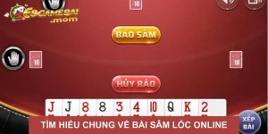 Tìm hiểu tổng quan về sâm lốc online